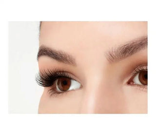 ARDELL-Faux Mink Lashes 811-