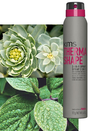 KMS-Thermashape 2-in-1 Spray-172g